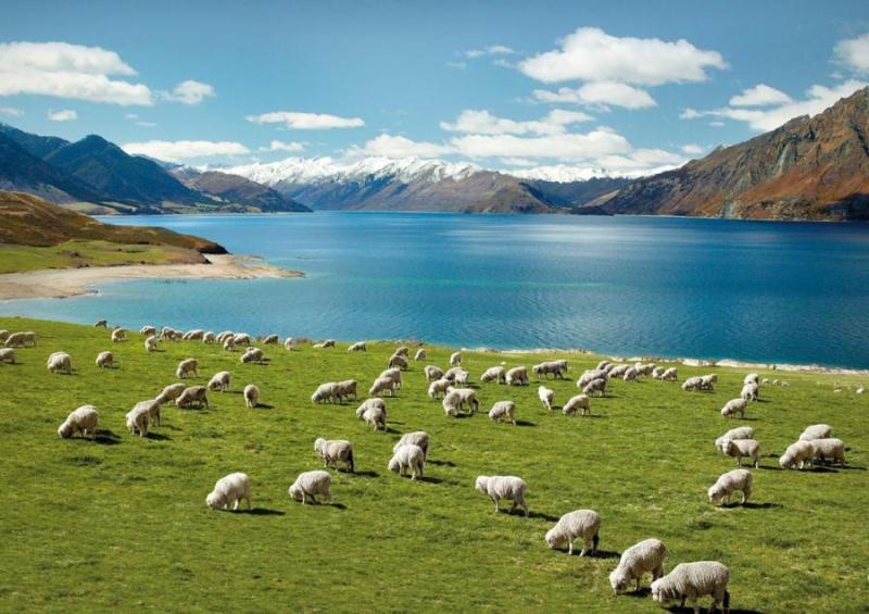 Yeni Zelanda Dünyanın En Huzurlu Ülkeleri Arasında 3. Sırada